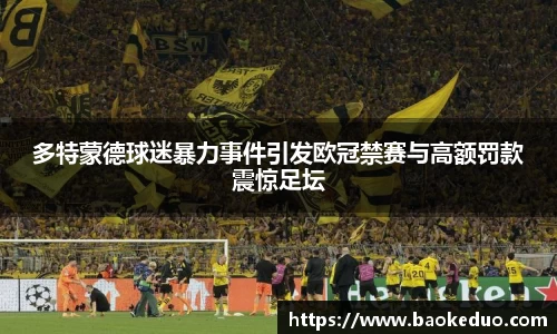 多特蒙德球迷暴力事件引发欧冠禁赛与高额罚款震惊足坛